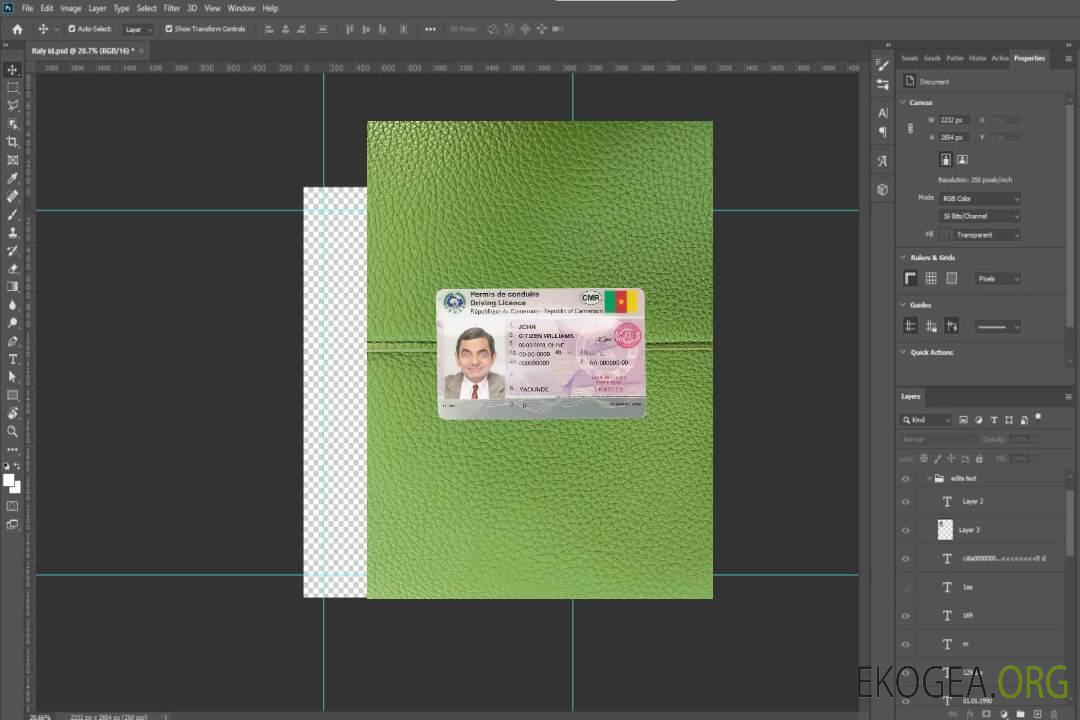 Cameroun DL photolook DEVANT template